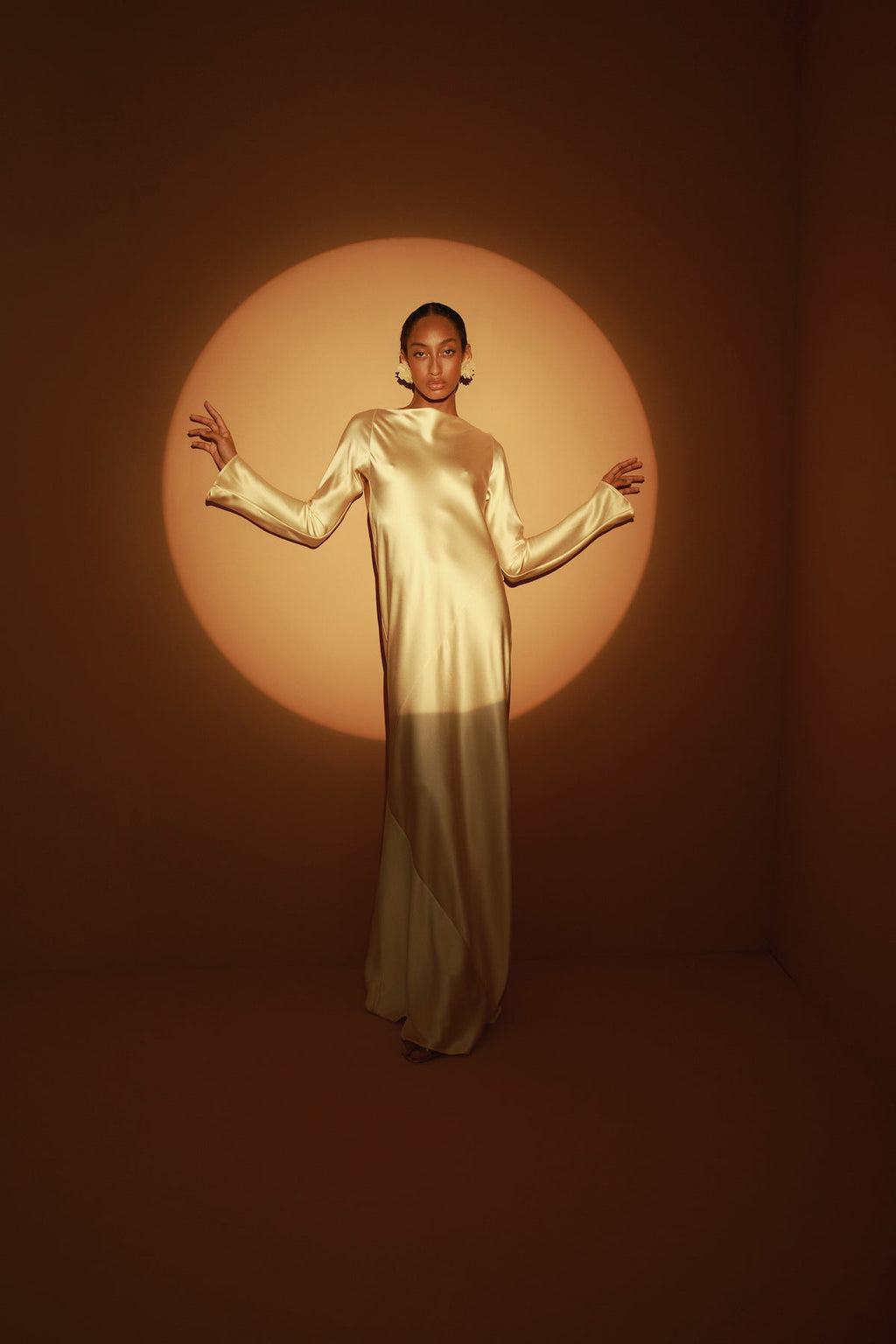 Fenix Long Sleeve Maxi Dress