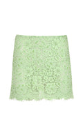 Charlie Mini Skirt