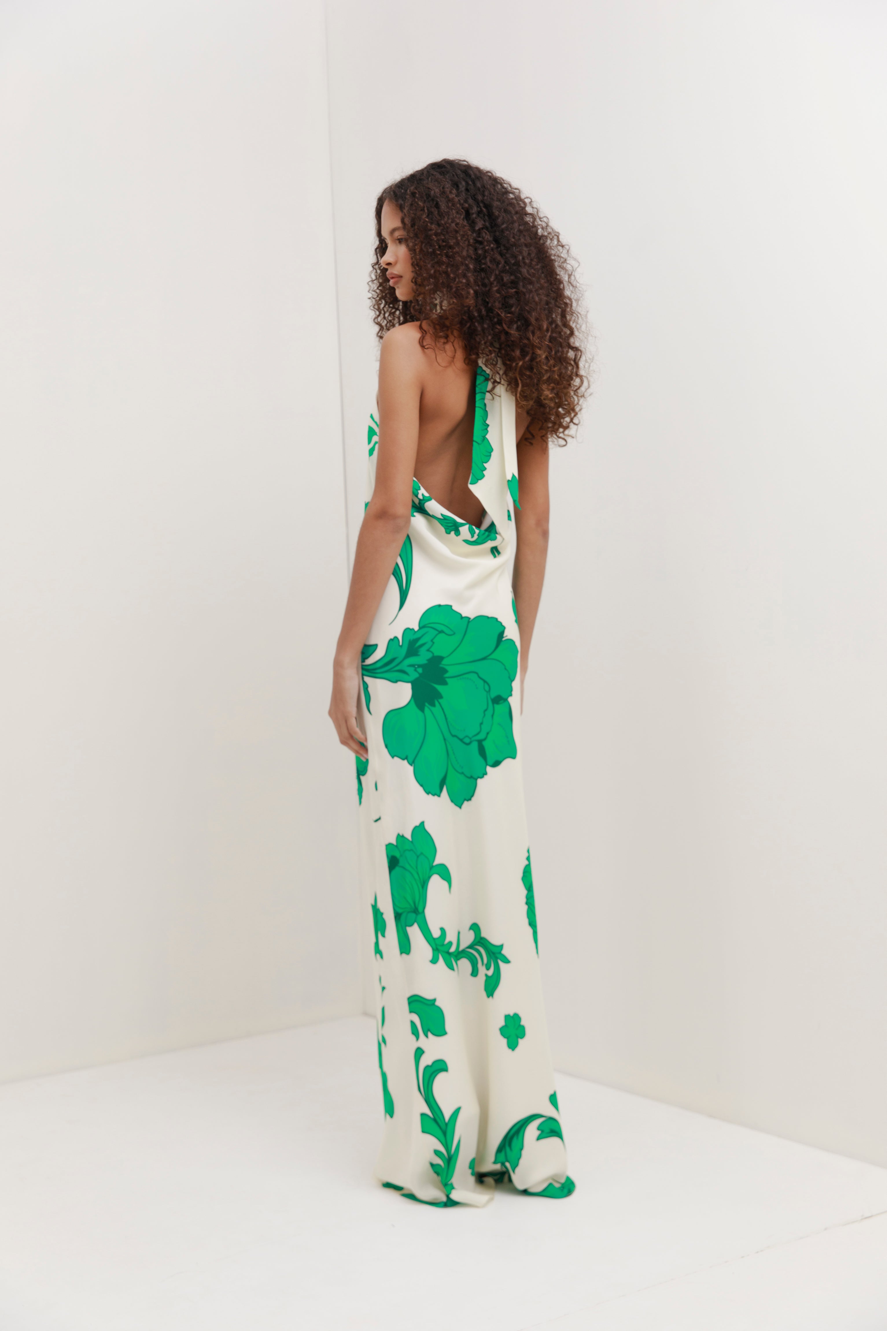 Hera Silk Dress