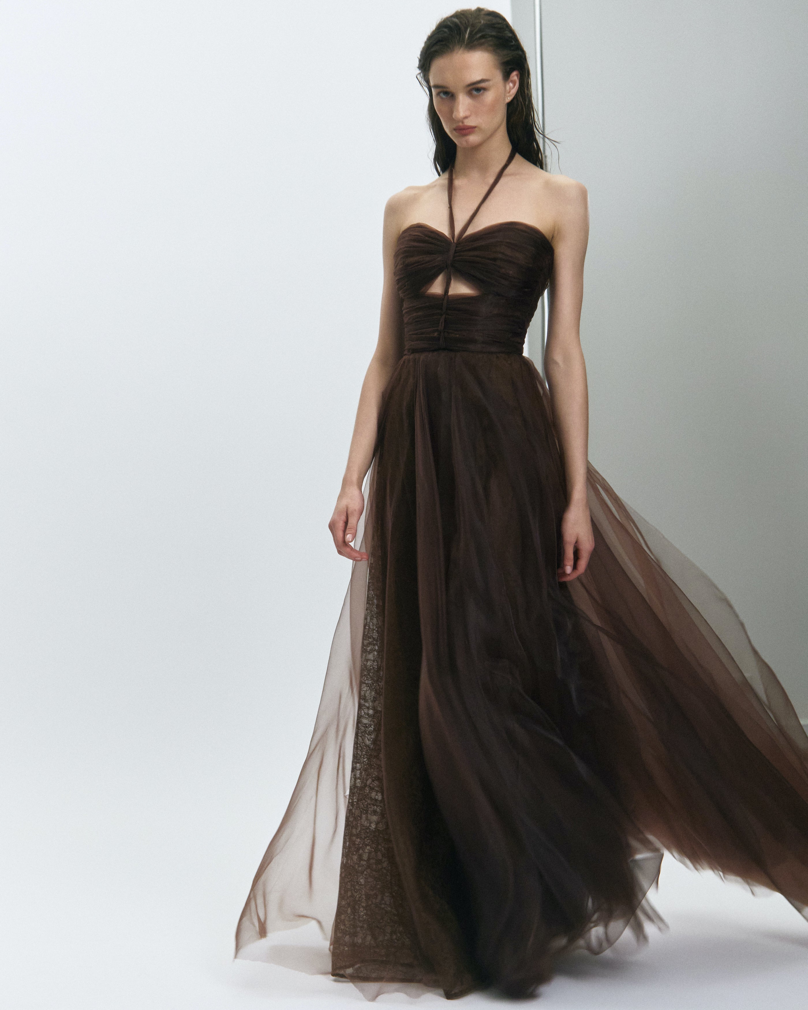 Leon Silk Organza Mocca Dress